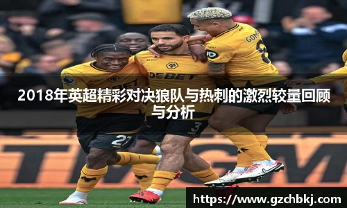 2018年英超精彩对决狼队与热刺的激烈较量回顾与分析