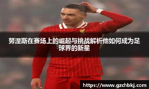 努涅斯在赛场上的崛起与挑战解析他如何成为足球界的新星