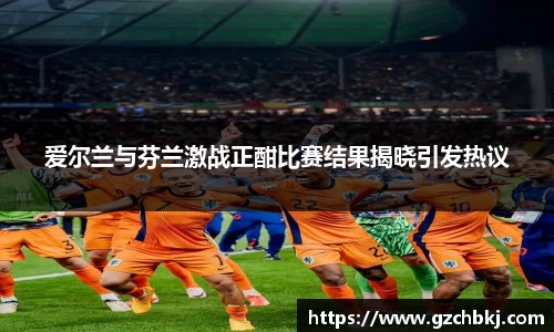 爱尔兰与芬兰激战正酣比赛结果揭晓引发热议
